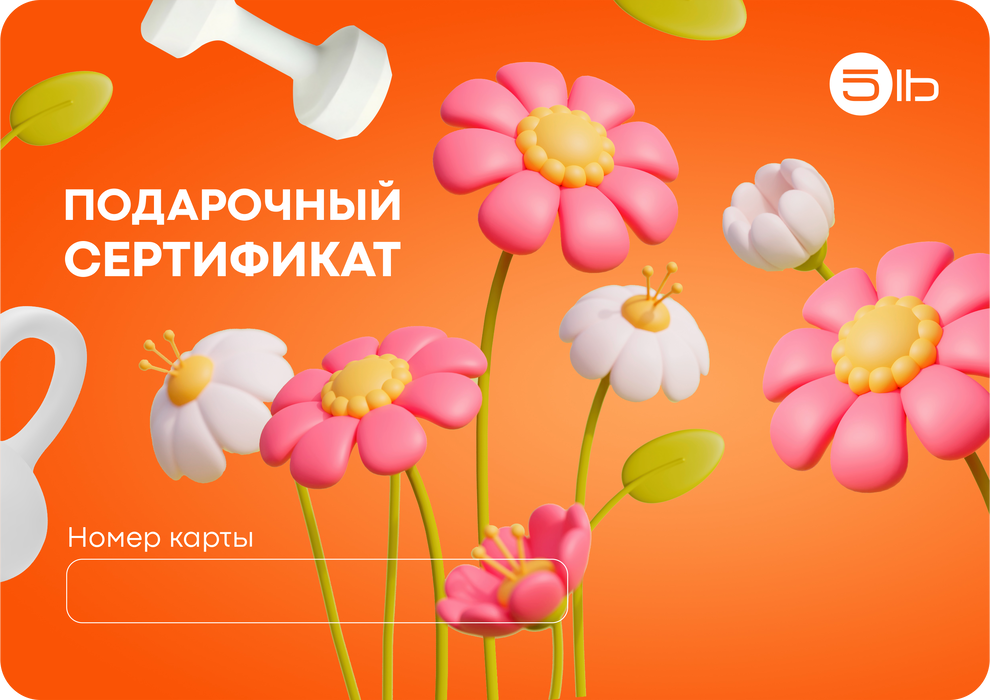 Сертификат 1